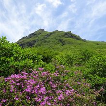 久住山南直下に展望の良いところがあります。