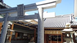 若八幡宮でございます