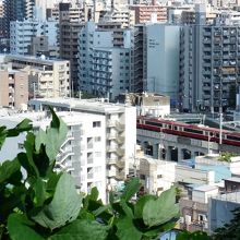 京急の電車が手に取るように見える。