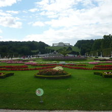 綺麗に整えられた庭園