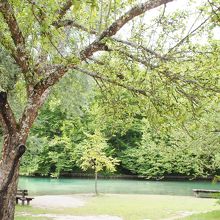 木々の緑と湖水の緑が美しい。