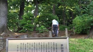 大きな城だったようです…