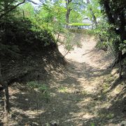 岡崎城址に建つ公園