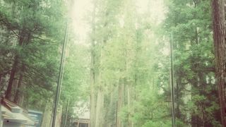 神秘的すぎて感動の連続