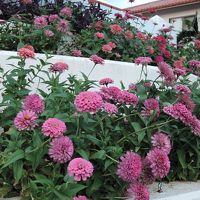 リゾートホテル　久米アイランド　＜久米島＞