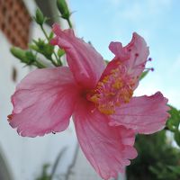 リゾートホテル　久米アイランド　＜久米島＞