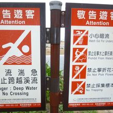 えっ？泳げないの？ここ人気の海水浴場だよね？