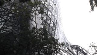 外観がユニーク