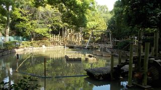 スポーツ、散歩、花見まで