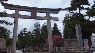 高さ１１mの大鳥居