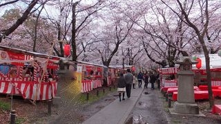 平野神社境内 花見茶屋 遊楽