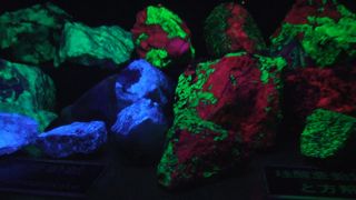 世界中から集めた珍しい石のミュージアム