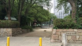 シンフォニーホールの向かい