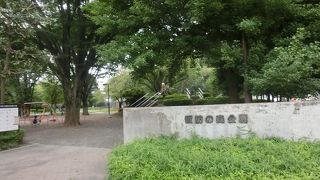 緑に囲まれた子どもたちの遊び場