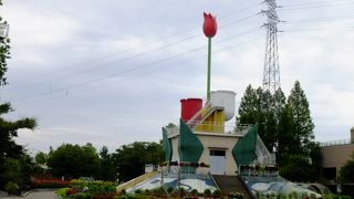 時期がちがいましたが