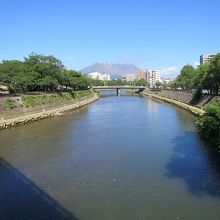 「維新ふるさと館」前の「南洲橋」からは「桜島」