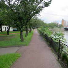 道路の向かい側から始まる緑地帯が「甲突川左岸緑地帯」です 