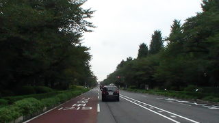 JR国立駅南口を基点とした緑に覆われた広い道路です