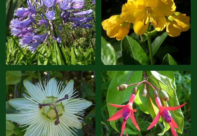 手作り感満載の植物園