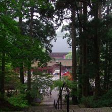 文殊楼から根本中堂を見下ろす