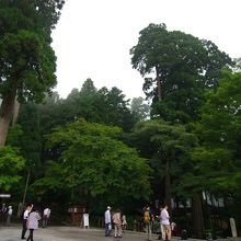 東塔周辺の入口のあたり