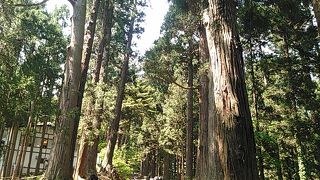 芭蕉も上った坂道