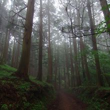 元三大師堂から中堂に戻る道、かなり山深いです