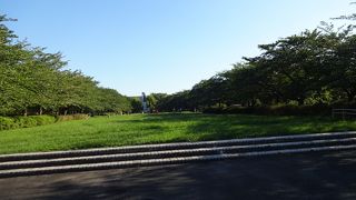 広い公園