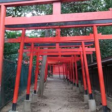 稲荷大明神へと続く朱色の鳥居