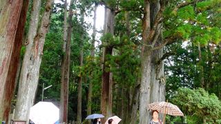 奥の院参道の入口