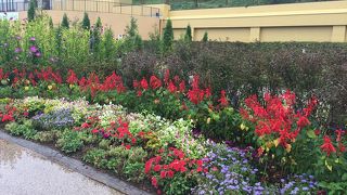 きれいで広くて散歩に良い感じ。