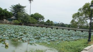 島への橋が撮影スポット