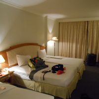 広さは十分でした