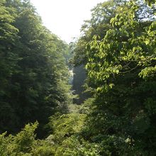 不動滝橋の上から見た、秋保大滝。