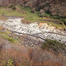 眼下に広がる殺生石