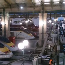 どれに乗るのかな？