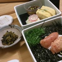 めんたい料理 博多椒房庵