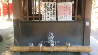 井戸のお水を飲みましょう