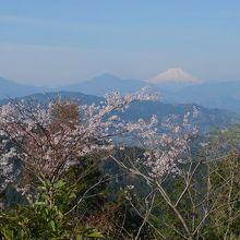山頂から望む富士山