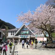 高尾山ケーブルカー清滝駅前で様々なイベントが。