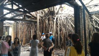 初めてだと安平樹屋はわかりずらいかもしれません