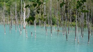 幻想的な青い池