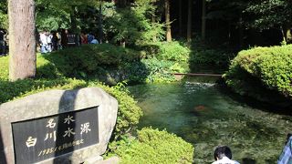 友人からのススメで行きました