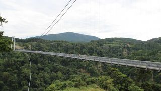 前回これなかったけどやっと来れました！