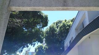 若宮神社でございます