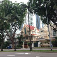 駅からホテルへの道　街路樹が熱帯らしい大きさ