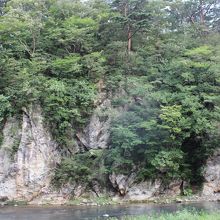 客室からの景色