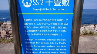 人混みの千畳敷