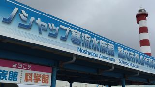 食べられる魚が多い（笑）