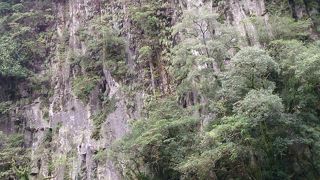 名勝　天然記念物